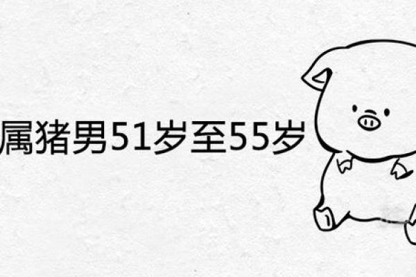 1971年属猪男52至55岁姻缘解析运势与情感走向