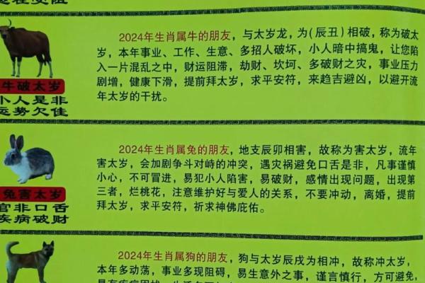 属龙人2025年还犯太岁吗_龙年犯太岁的五个属相 属龙人2025年还犯太岁吗_龙年犯太岁的五个属相
