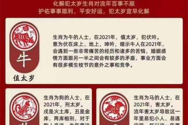 2025年属鸡人年龄全解析今年你几岁
