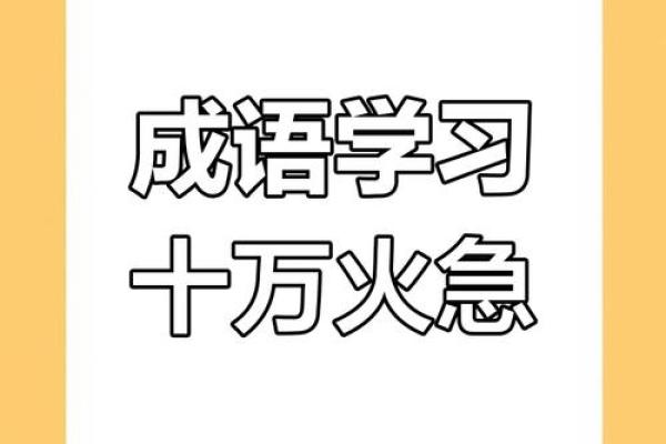 急如风火打一最佳生肖(急如风火是成语吗)