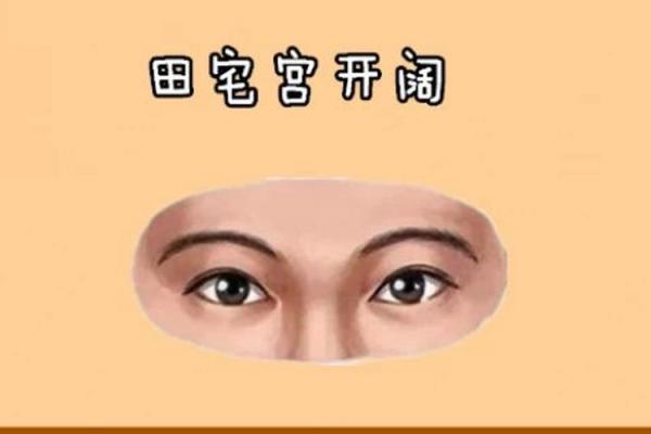 地空在田宅宫最好_地空在田宅宫是什么意思