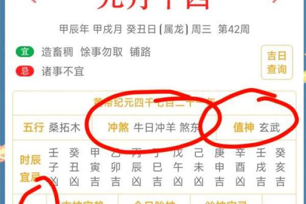 属鸡蛇年运势2025年运程 2025年属鸡蛇年运势解析运程详解与开运指南
