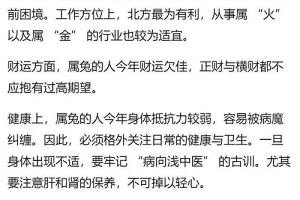 2025年属兔是什么命_2025年属兔命运解析运势财运与事业全揭秘