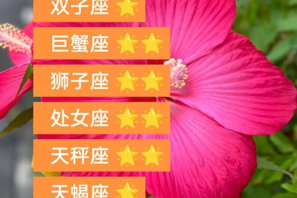 2025年4月3日金牛座女生今日运势 2025年4月3日金牛座女生今日运势