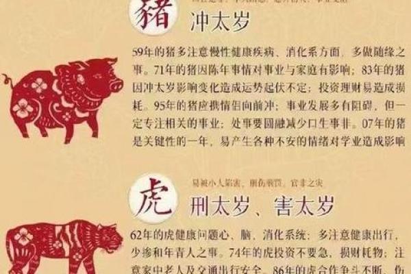 属龙人在2025年运势_属龙人在2025年运势及运程