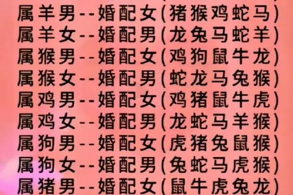 属狗男和属虎女的婚姻如何_属狗男和属虎女婚配怎么样