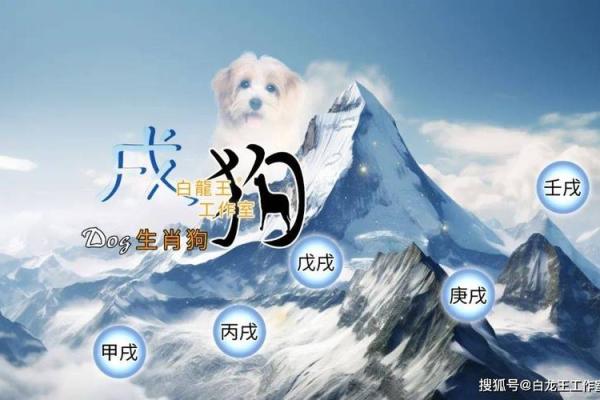 属狗2025_属狗2025年犯太岁吗