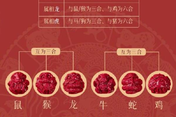 属猪2025犯太岁吗_属猪的人犯太岁的化解方法