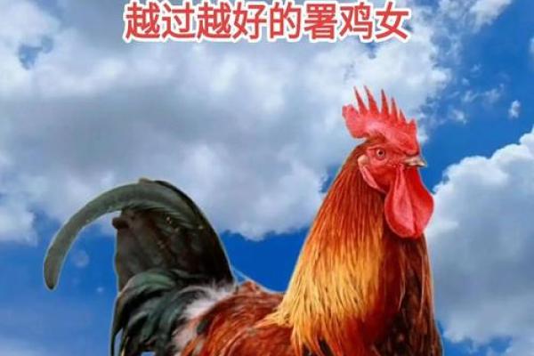 69年鸡女2025年运势和每月运程_1993年属鸡女2025年运势