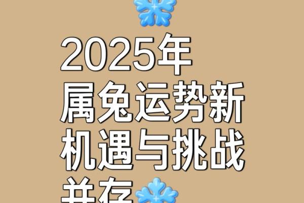 属兔2025年多大岁_2005年属兔的是什么命 属兔2025年多大岁_2005年属兔的是什么命