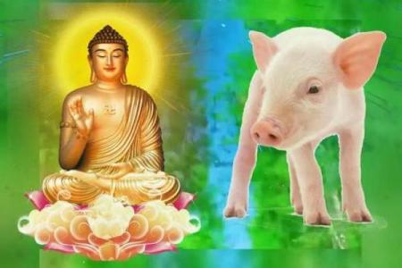 1983年属猪人2025年运势_83年属猪25年运势