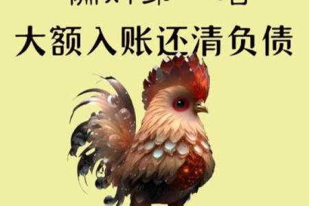 2025年属鸡1993全年运势_属鸡人2025年运势