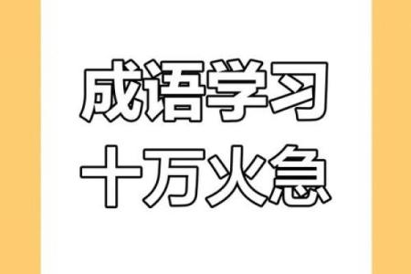 急如风火打一最佳生肖(急如风火是成语吗)