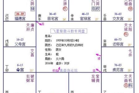 夫妻宫流月解析如何通过流月运势改善夫妻关系
