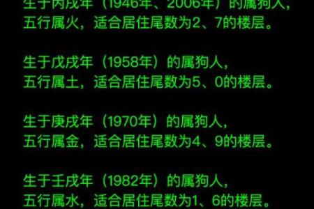1994年属狗五行属什么揭秘94年狗的命运与五行属性