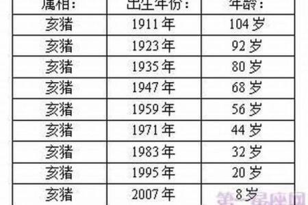 95属猪哪年开始运气好揭秘最佳转运年份