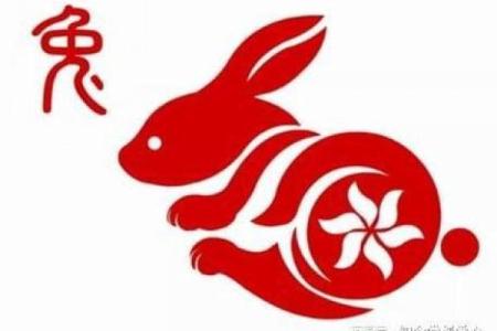 2025年属兔的幸运颜色衣服_2025属兔大忌颜色