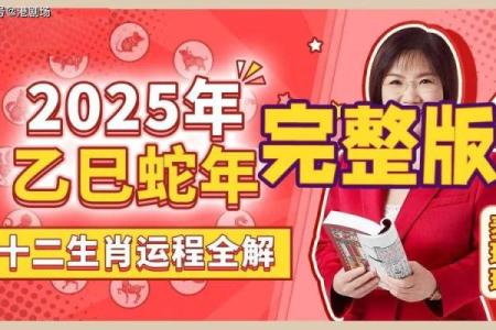 2025年属兔人全年运势详解财运事业感情全解析_1739578328