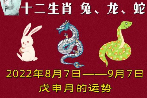 虎头蛇尾打一生肖(虎头蛇尾打一生肖正确答案) 虎头蛇尾打一生肖(虎头蛇尾打一生肖正确答案)