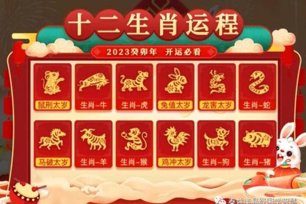 2023年兔年运势 2023年兔年运势解析财运事业爱情全攻略