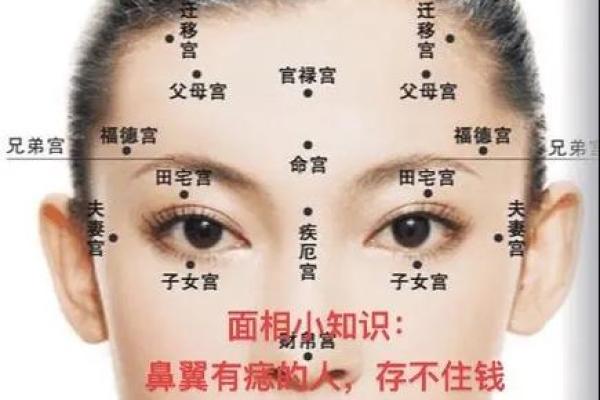 夫妻宫有禄字解析禄字在夫妻宫的含义与影响