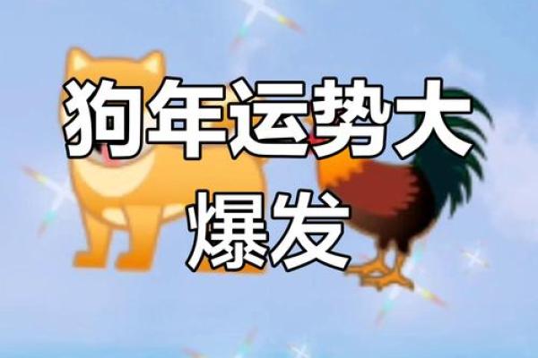 属狗的人今日运势和财运如何 属狗人今日运势最准