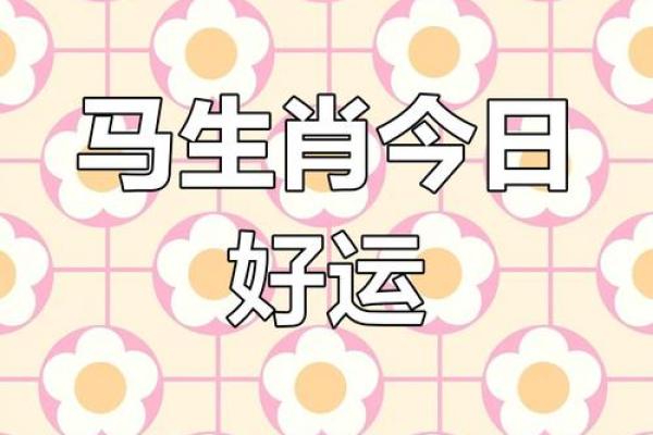 2025年属马人今年多大年龄计算及运势解析