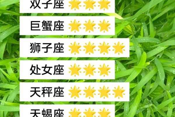 2025年4月4日白羊运势今日运势星座 2025年4月4日白羊运势今日运势星座