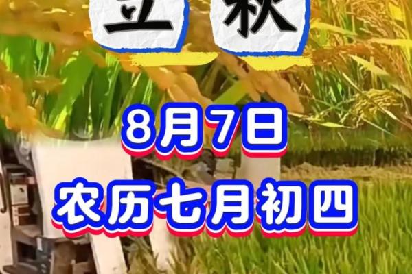 2022年8月7号立早秋还是晚秋