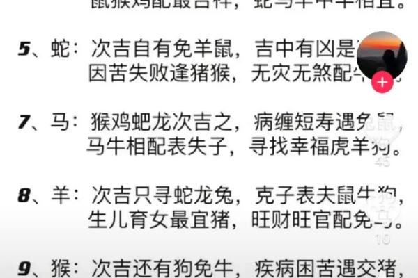 属狗2025年多大_属马2025年多大