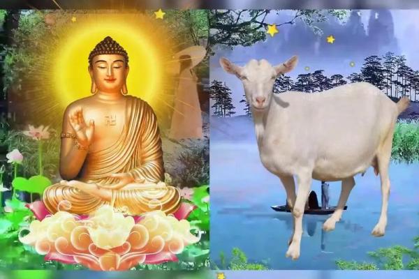 1991年属羊今年多大_86年属什么生肖 今年多大了