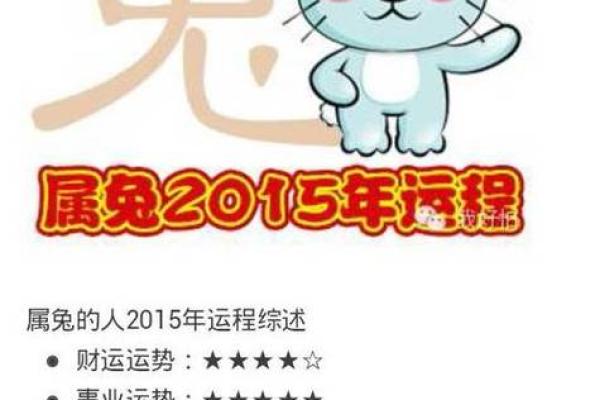 2025兔年运势1987年_87年兔什么时候转大运