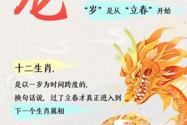 2025年属龙人全年运势解析逐月详解命运走向