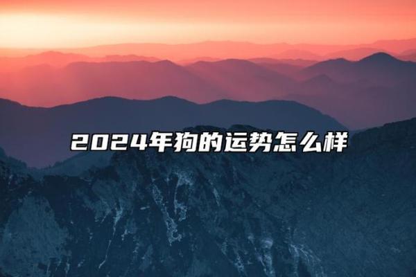 生肖狗2025年事业运势 2025年生肖狗事业运势解析机遇与挑战并存