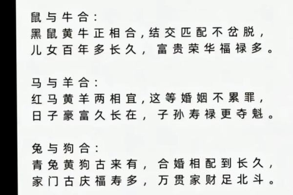 2002年属马配什么生肖最好最佳婚配属相揭秘