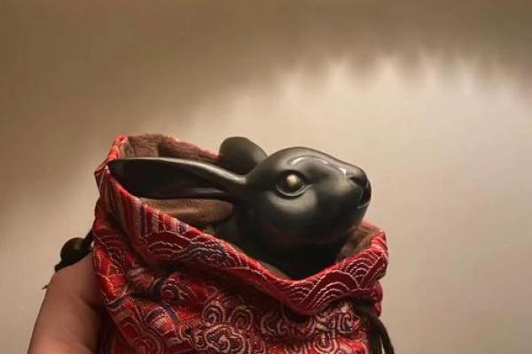 2023黑兔年百年一遇