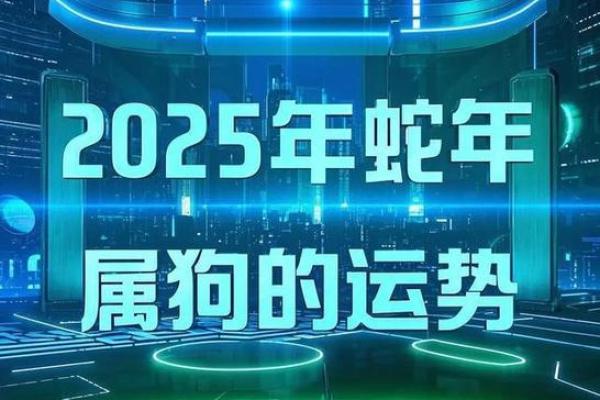 属狗人2025运势大爆发机遇与挑战并存 属狗人2025运势大爆发机遇与挑战并存