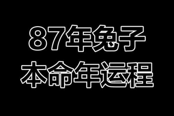 87年属兔一生转折点_87年属兔人的终生宿命