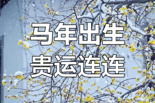 1966年属马人2023年多大57岁运势全解