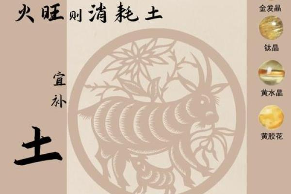 2025属羊的全年运势_2025属相羊全年运势