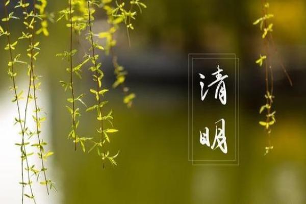 4号清明节能上坟吗 4号清明节能上坟吗