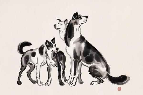 大海水下有特马猜生肖(大海水下是什么意思)