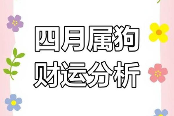 属狗人2025年最佳财位 1982属狗走大运在哪一年