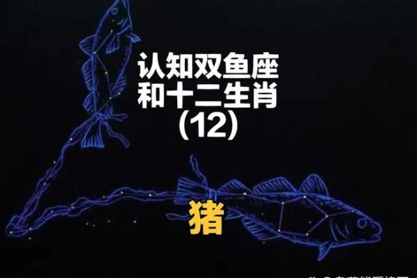 2025年属猪女要出大事_2025年属猪女要出大事双鱼座运势