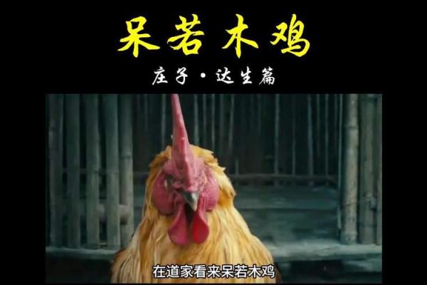 呆若木鸡打一个生肖(呆若木鸡打一个生肖动物)