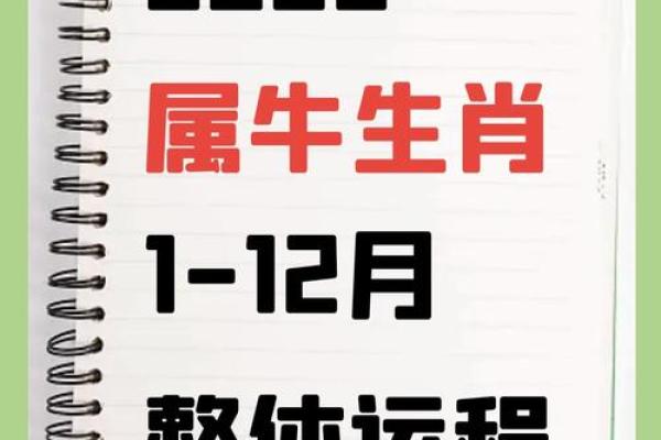 2025年4月10日处女座今日运势luka大叔 2025年4月10日处女座今日运势luka大叔