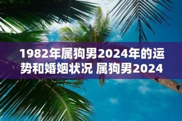 1982年属狗2024年运势详解运程预测与注意事项