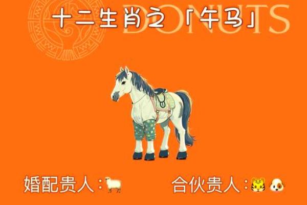 2002年属马的姻缘 2002年属马的姻缘什么时候到 2002年属马的姻缘 2002年属马的姻缘什么时候到
