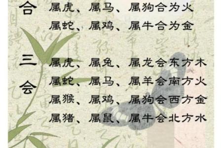 1979年属羊2025年运势及运程_属鸡1981年2025年运势及运程