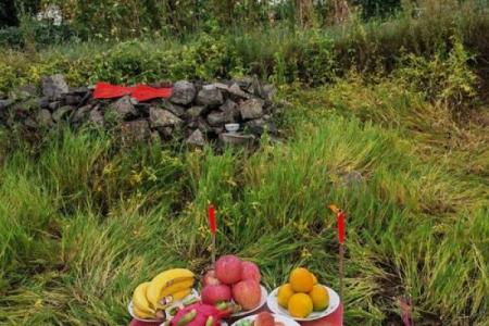 今天是动土的好日子吗(今天是动土的好日子吗吉利吗)